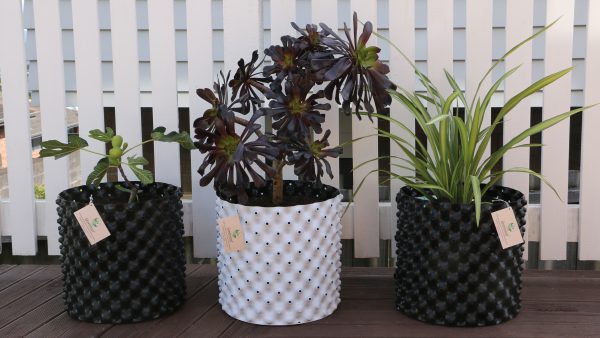Plant Pot NZ