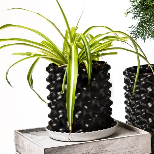 Plant Pot 3 Ltr Black