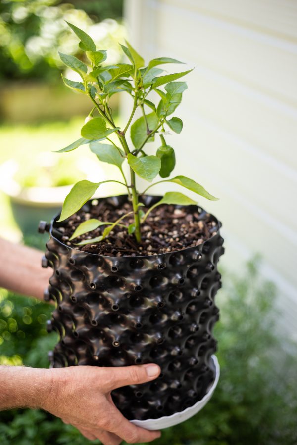 Plant pot NZ 6.5 L black